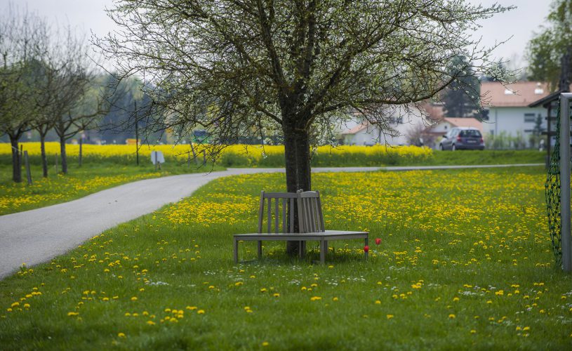 Pension Schelle Ihre Frühstückspension im Münchener Süden